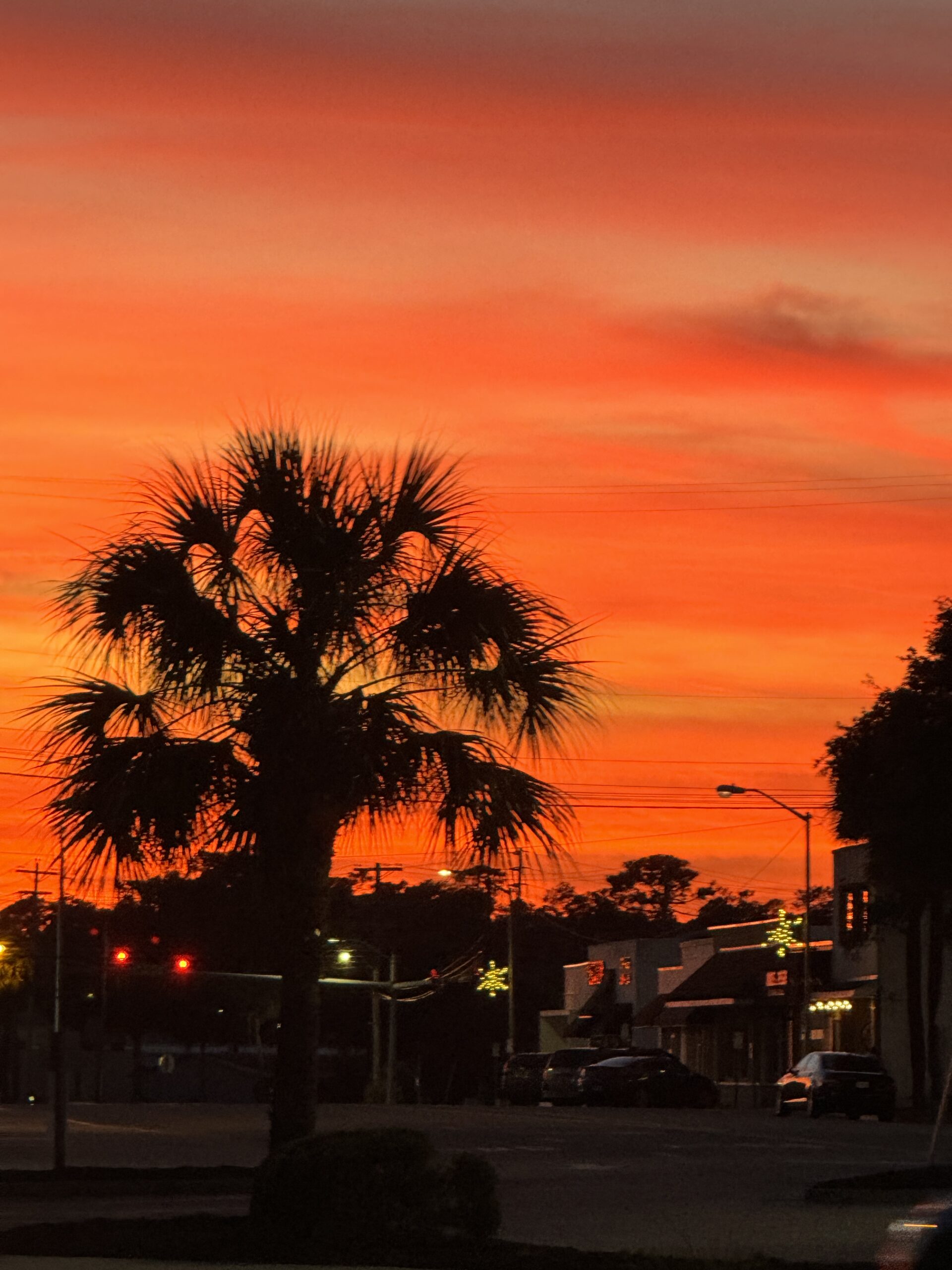 Myrtle Beach KOA in Myrtle Beach, SC (Nov 17)